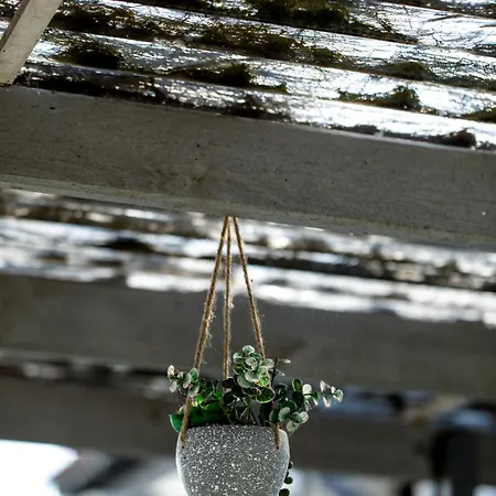 Charmante Maison Idealement Situee Tatil Evi *