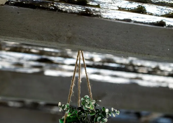 Charmante Maison Idealement Situee Дом отдыха *