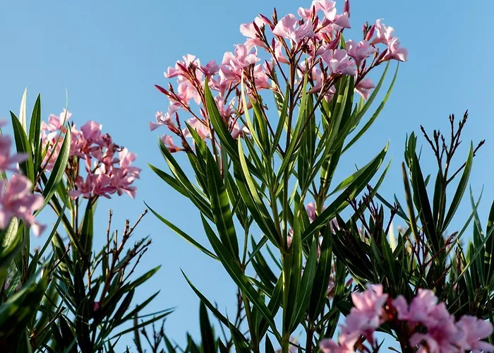 Charmante Maison Idealement Situee Дом отдыха